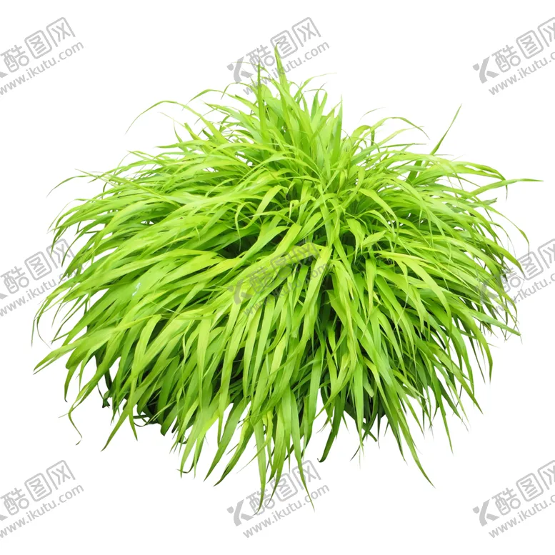 编号：45579204302237516380【酷图网】源文件下载-草丛