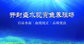 海洋生态系统banner