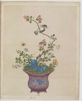 盆景花鸟