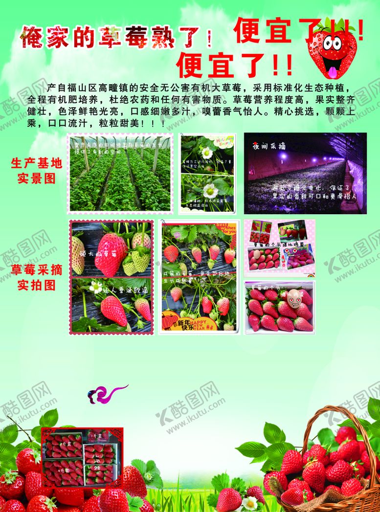编号：45138610072142048391【酷图网】源文件下载-草莓 采摘