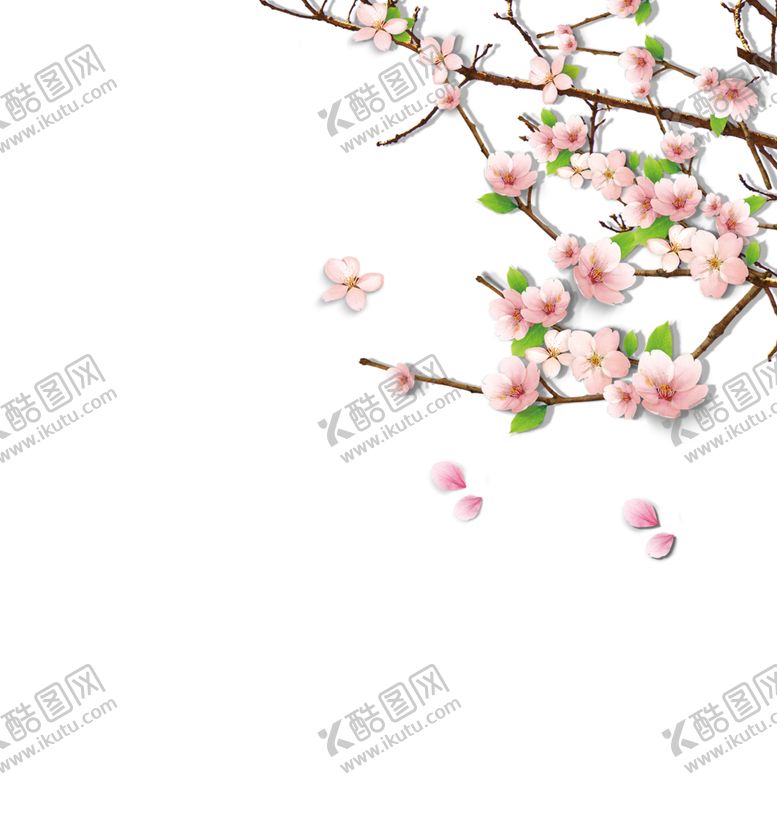 编号：26715805161754448802【酷图网】源文件下载-手绘植物花卉