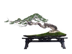 花艺