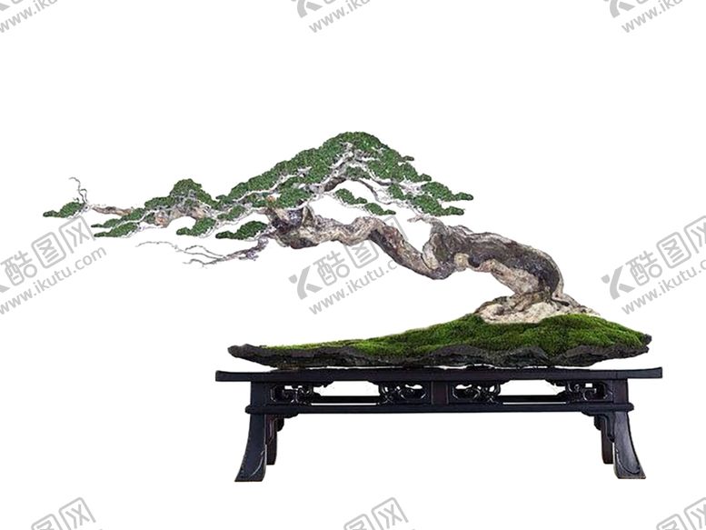 编号：16794206250134467138【酷图网】源文件下载-花艺