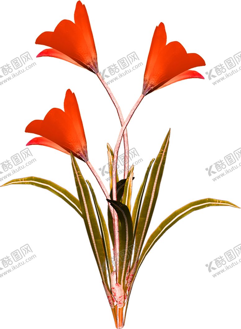 编号：13142507070713328870【酷图网】源文件下载-鲜花素材