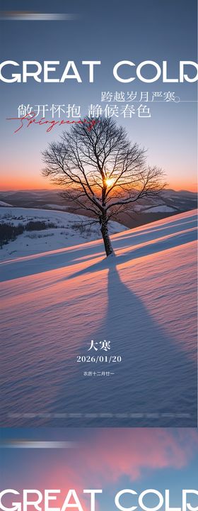 大雪小雪大寒小寒海报