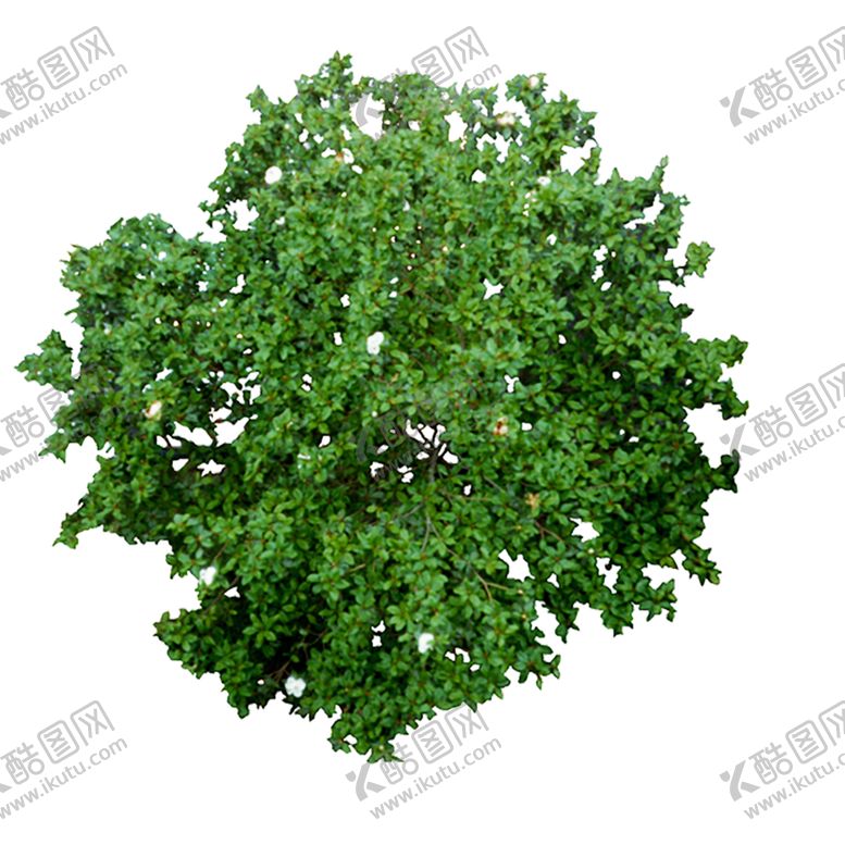 编号：88168610300119426838【酷图网】源文件下载-绿色装饰