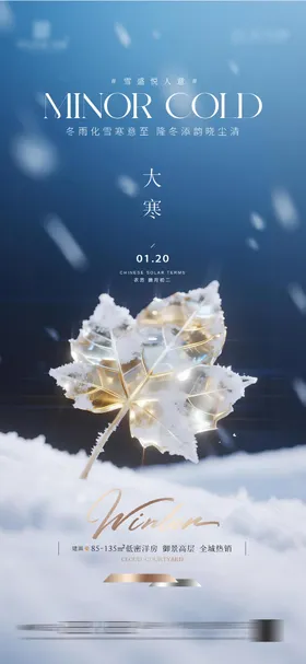 地产大寒质感节气海报