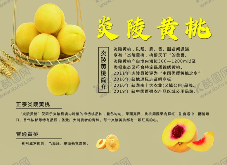 编号：89782309281300268838【酷图网】源文件下载-黄桃简介
