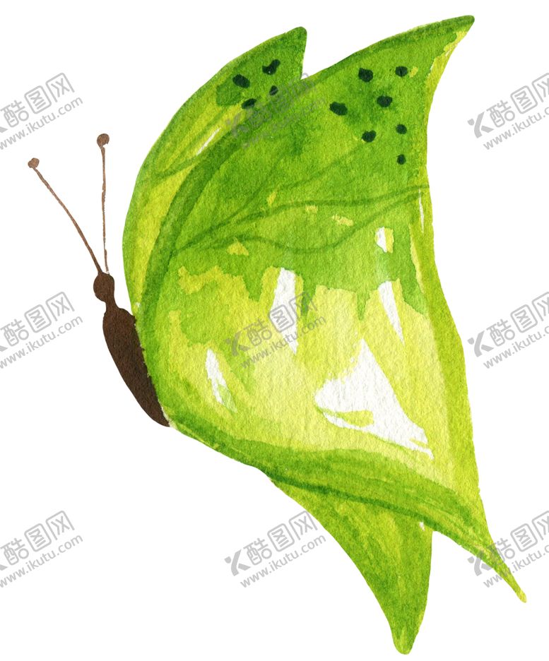 编号：71877304182218218133【酷图网】源文件下载-水彩绘画蝴蝶图案