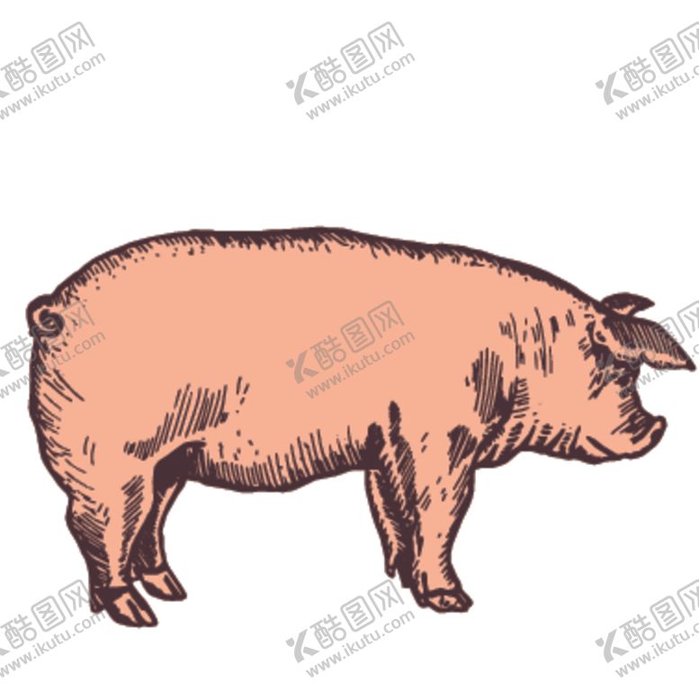 编号：58558105161320543270【酷图网】源文件下载-家养动物主题插画