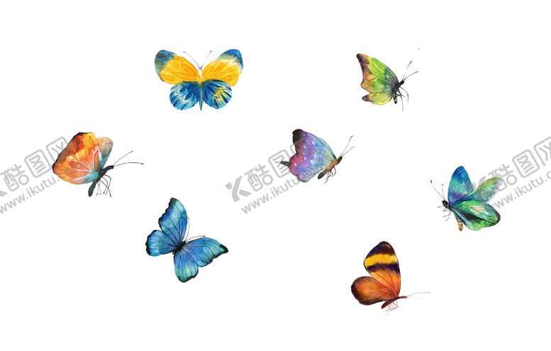 编号：89270410070805574001【酷图网】源文件下载-蝴蝶