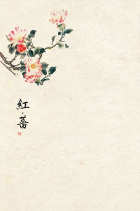 红杏