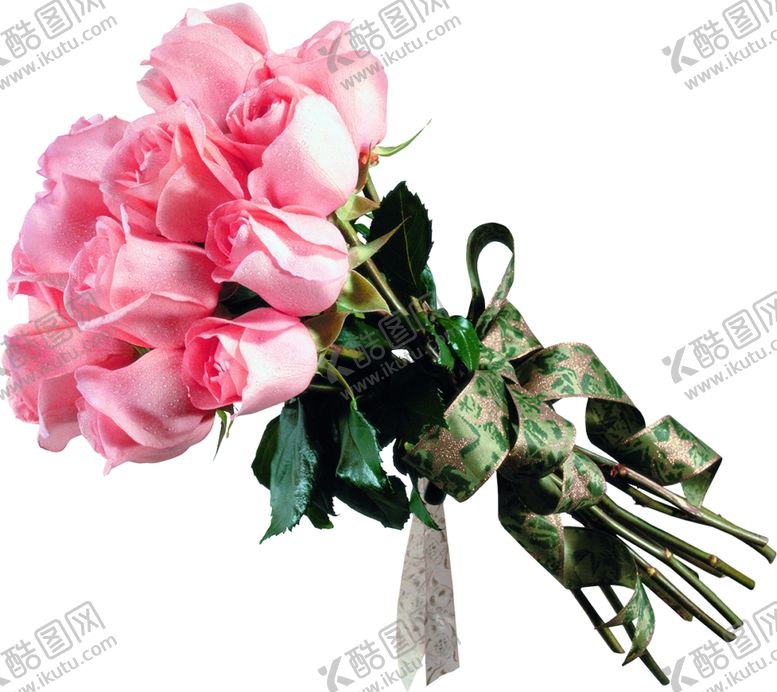 编号：97999610081035348605【酷图网】源文件下载-粉色玫瑰花