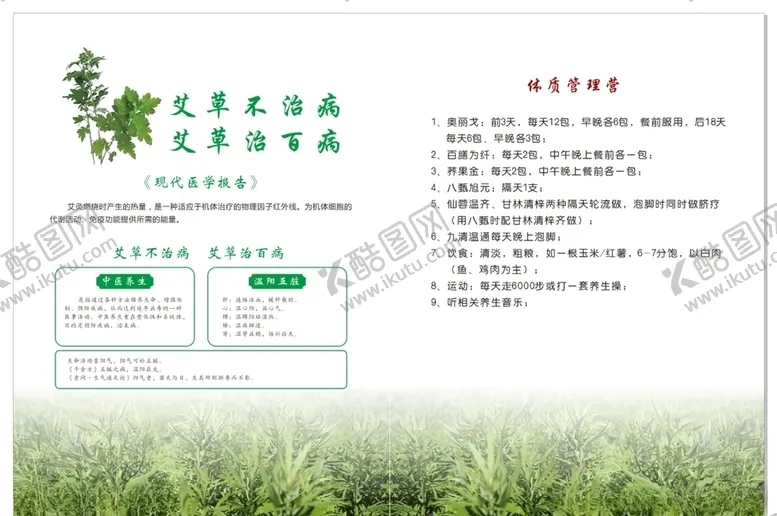 编号：99457004170325418331【酷图网】源文件下载-艾草艾灸