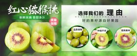 红心黄心猕猴桃主图车图