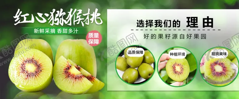编号：38163106260733065863【酷图网】源文件下载-浦江红心猕猴桃主图