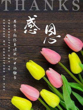 感恩节感恩节海报感恩节素材