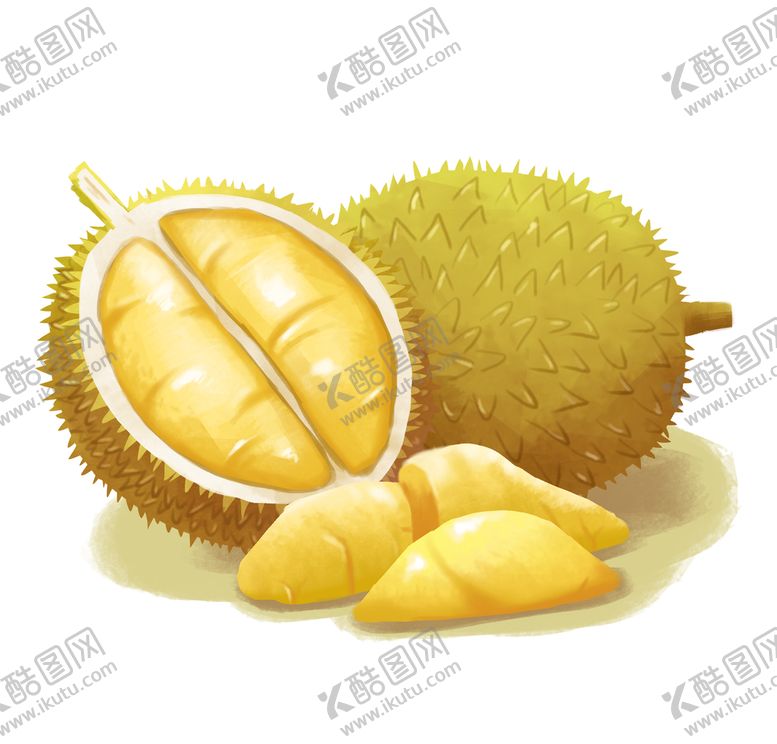编号：42906509161955376039【酷图网】源文件下载-手绘榴莲插画