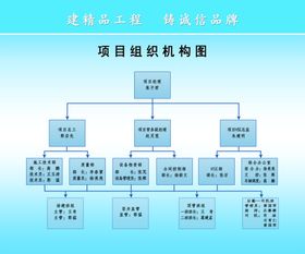 组织