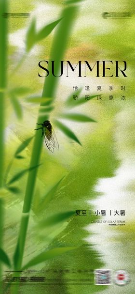 夏至大暑小暑水晶荷花海报