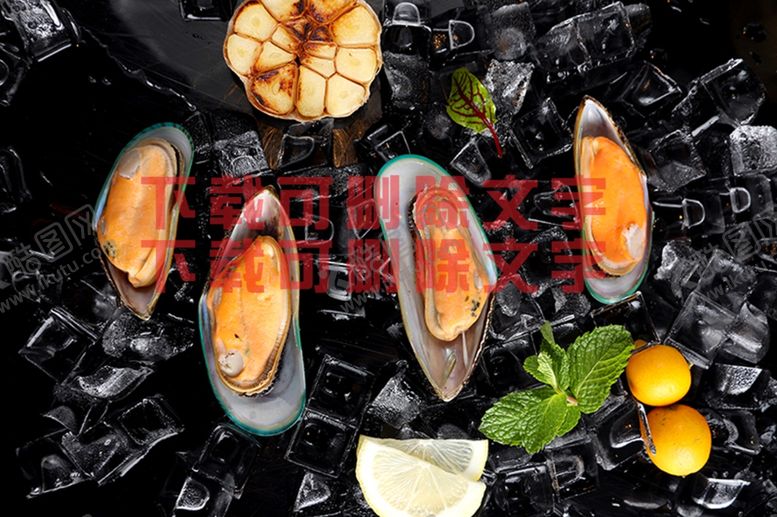 编号：25396410101139299433【酷图网】源文件下载-柳橙青口贝