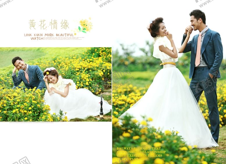 编号：72518309291732402749【酷图网】源文件下载-黄花情愿时尚浪漫婚纱相册模板