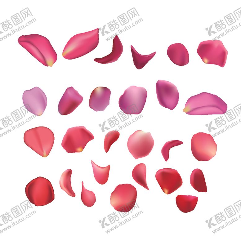 编号：56024701171149379433【酷图网】源文件下载-鲜花花瓣装饰