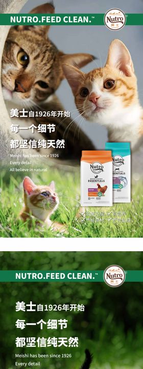 宠物猫粮宠物零食详情页