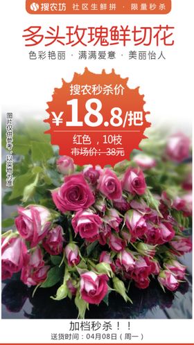 多头玫瑰鲜切花秒杀