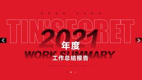 2021年度工作总结报告