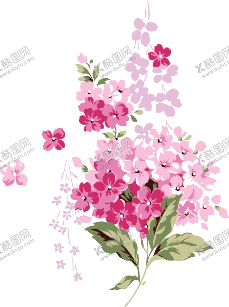 编号：85957107131816261041【酷图网】源文件下载-丁香花
