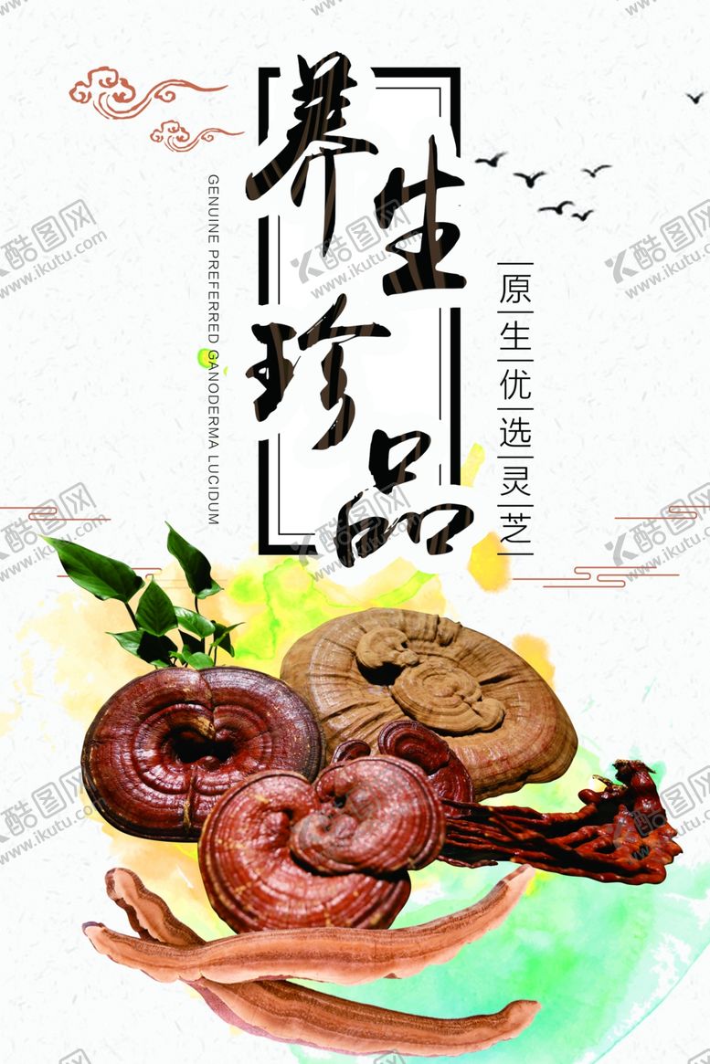 编号：62259701211009187259【酷图网】源文件下载-灵芝