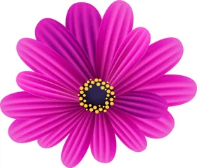 写实花卉彩色插画手绘鲜