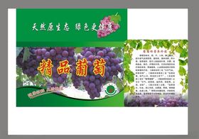 精品葡萄