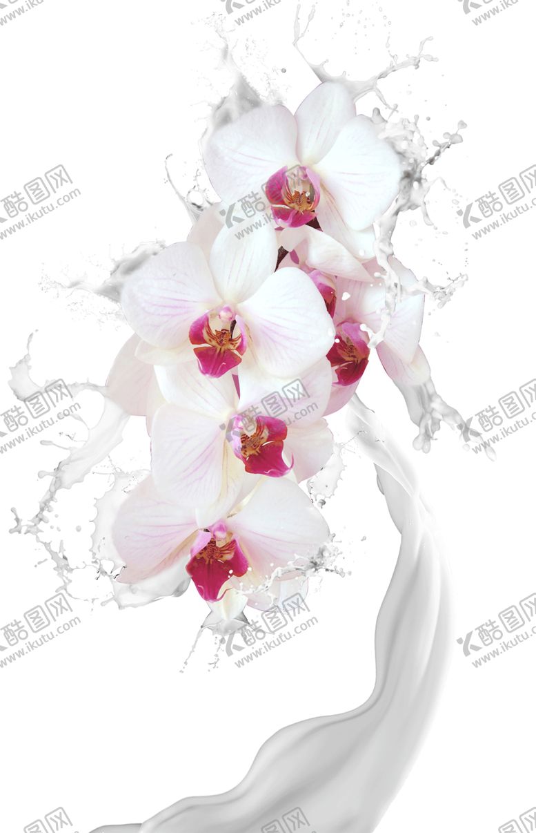 编号：93806610300520163817【酷图网】源文件下载-水花