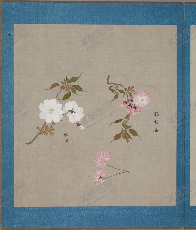 编号：67869604130841004582【酷图网】源文件下载-樱花