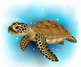 乌龟背景