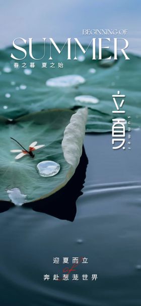立夏海报荷叶二十四节气小清新