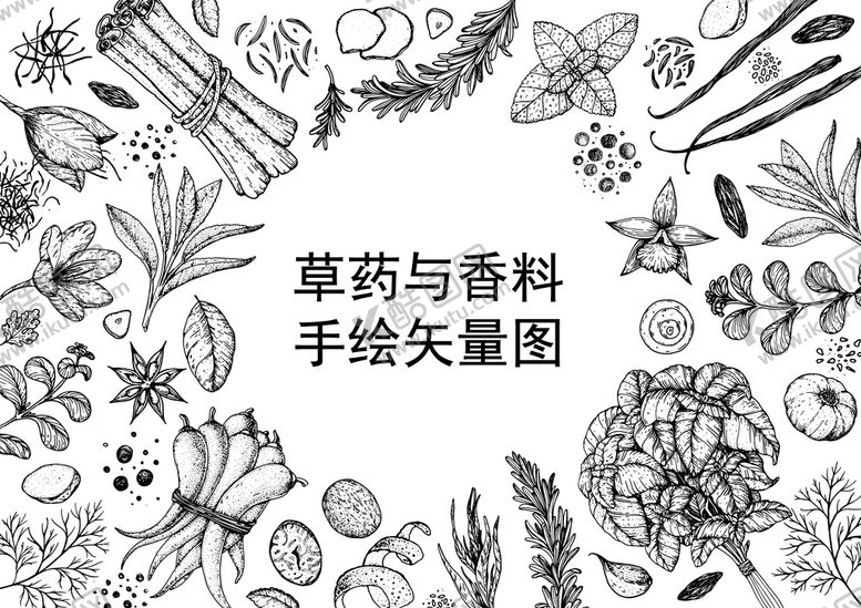 编号：52067409171343049623【酷图网】源文件下载-草药与香料矢量图