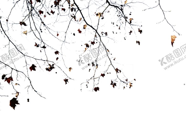 编号：81428910022219143037【酷图网】源文件下载-前景干支