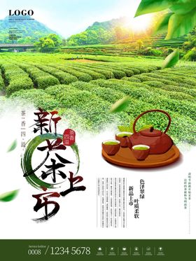 春茶上市