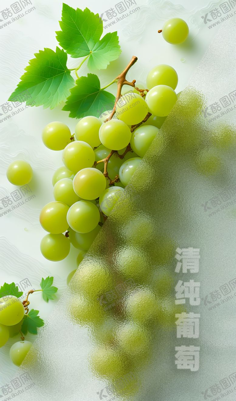 编号：66287402210838409084【酷图网】源文件下载-葡萄主体海报