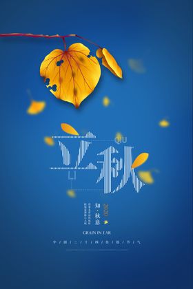 立秋折页宣传单梧桐落叶灯箱