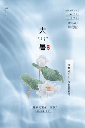 清新极简风大暑节气海报