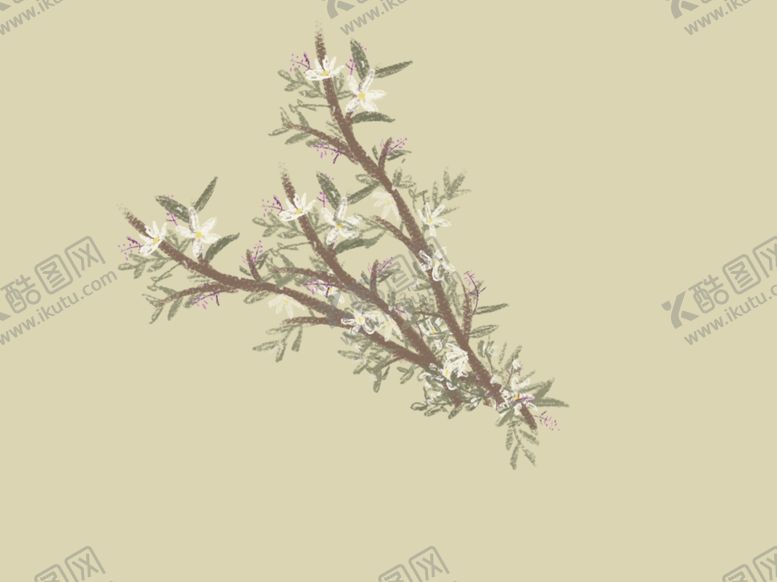 编号：98905004171832306542【酷图网】源文件下载-插画设计树枝花环