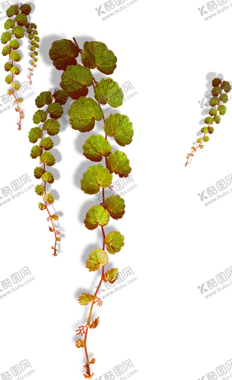 编号：41600110190415203134【酷图网】源文件下载-绿色植物