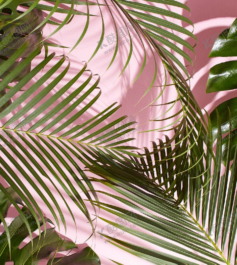 编号：48181110292239568856【酷图网】源文件下载-橱窗背景