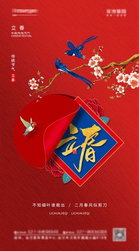 立春节气海报