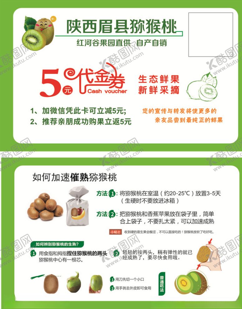 编号：32199305131016147341【酷图网】源文件下载-猕猴桃
