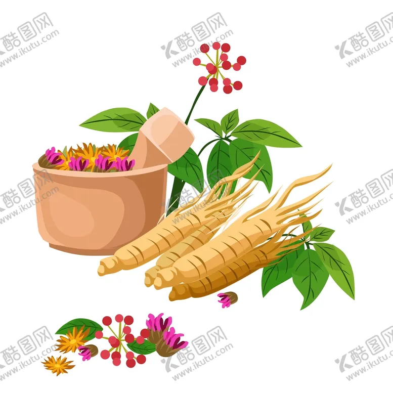 编号：68394109201149007031【酷图网】源文件下载-中医中药人参药材